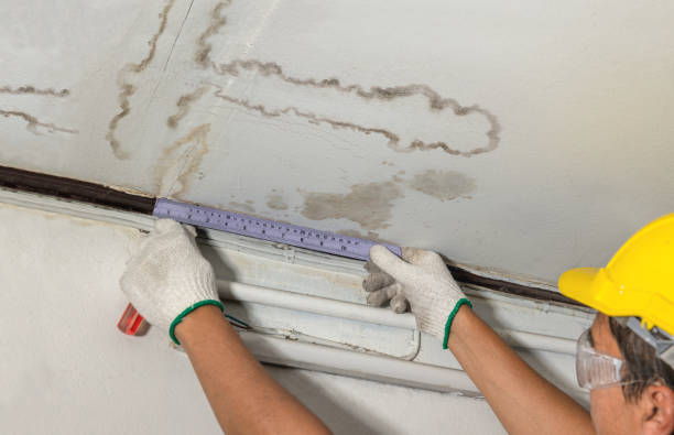 Reliable Mold Remediation contractor in Blue Creek, OH by Water Damage Irwin